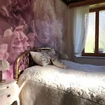 Casa Gugjet Cuore Carnico - Zoncolan - Giardino - No Scale - Parcheggio E 4 Zampe Gratis Daire Arta Terme