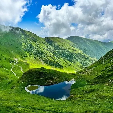 Casa Gugjet Cuore Carnico - Zoncolan - Giardino - No Scale - Parcheggio E 4 Zampe Gratis * Arta Terme