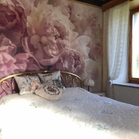 Casa Gugjet Cuore Carnico - Zoncolan - Giardino - No Scale - Parcheggio E 4 Zampe Gratis Arta Terme