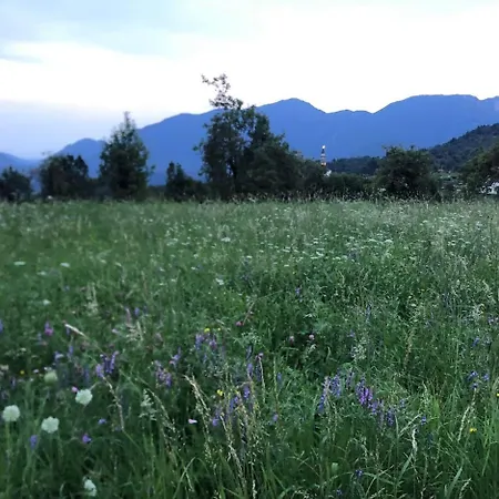 Casa Gugjet Cuore Carnico - Zoncolan - Giardino - No Scale - Parcheggio E 4 Zampe Gratis Lägenhet *