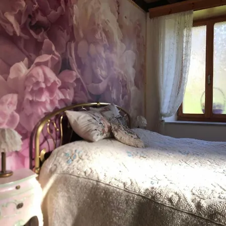 Casa Gugjet Cuore Carnico - Zoncolan - Giardino - No Scale - Parcheggio E 4 Zampe Gratis Apartament Arta Terme