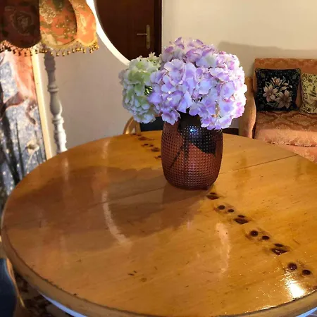 Casa Gugjet Cuore Carnico - Zoncolan - Giardino - No Scale - Parcheggio E 4 Zampe Gratis Lägenhet