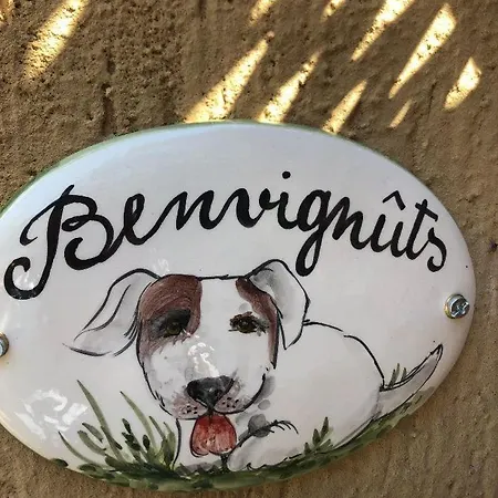 Casa Gugjet Cuore Carnico - Zoncolan - Giardino - No Scale - Parcheggio E 4 Zampe Gratis Lägenhet Arta Terme