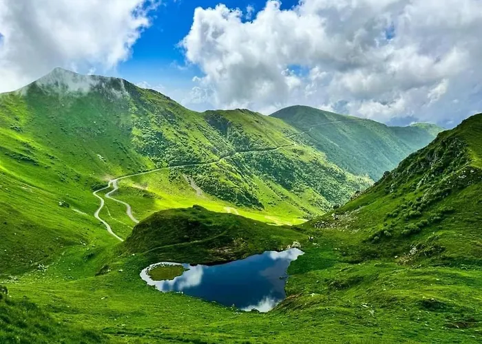 Casa Gugjet Cuore Carnico - Zoncolan - Giardino - No Scale - Parcheggio E 4 Zampe Gratis * Arta Terme