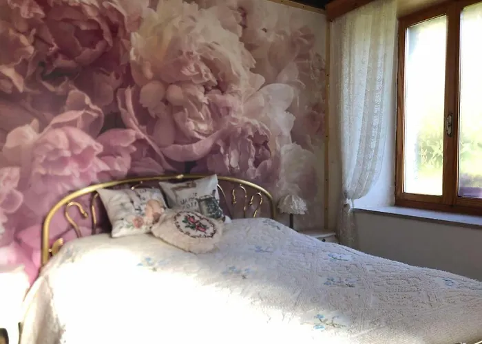 Casa Gugjet Cuore Carnico - Zoncolan - Giardino - No Scale - Parcheggio E 4 Zampe Gratis Arta Terme