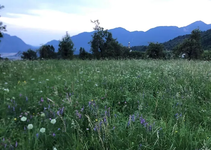 Casa Gugjet Cuore Carnico - Zoncolan - Giardino - No Scale - Parcheggio E 4 Zampe Gratis Apartman *