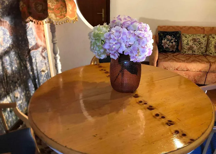 Casa Gugjet Cuore Carnico - Zoncolan - Giardino - No Scale - Parcheggio E 4 Zampe Gratis Apartman